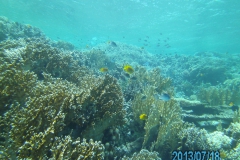 Camera 14MP-9PC