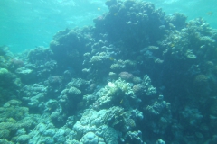 Camera 14MP-9PC